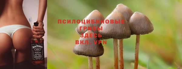 бутират Белокуриха