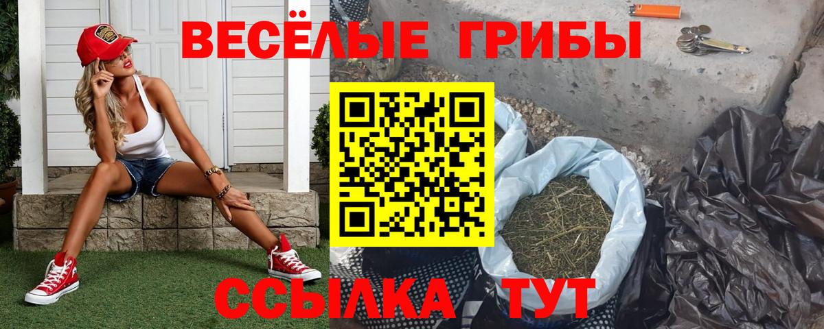 закладки  Галлюциногенные грибы мухоморы  Вход с VPN  Борисоглебск  Псилоцибиновые грибы мухоморы 